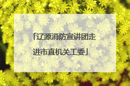 辽源消防宣讲团走进市直机关工委