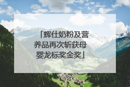 辉仕奶粉及营养品再次斩获母婴龙标奖金奖