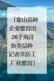 象山苗种企业繁育出26个海洋鱼类品种 记者亲历工厂化繁育