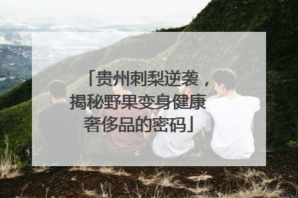 贵州刺梨逆袭,揭秘野果变身健康奢侈品的密码