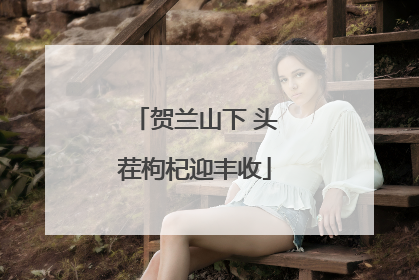 贺兰山下 头茬枸杞迎丰收