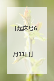 起床号6月11日
