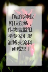 赋能种业科技创新，作物表型组学专家汇聚淄博交流科研成果