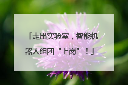 走出实验室，智能机器人组团“上岗”！