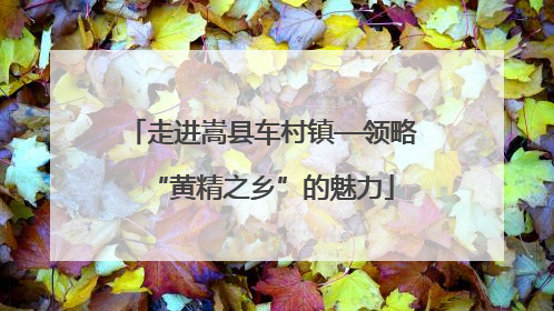 走进嵩县车村镇—领略“黄精之乡”的魅力