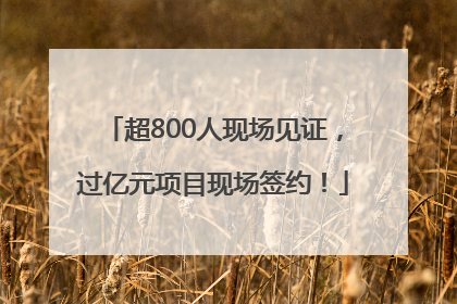 超800人现场见证，过亿元项目现场签约！