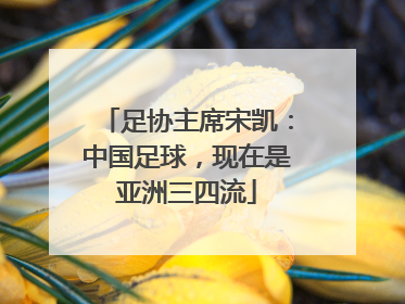 足协主席宋凯：中国足球，现在是亚洲三四流