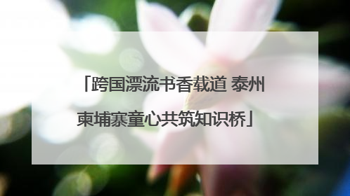 跨国漂流书香载道 泰州柬埔寨童心共筑知识桥