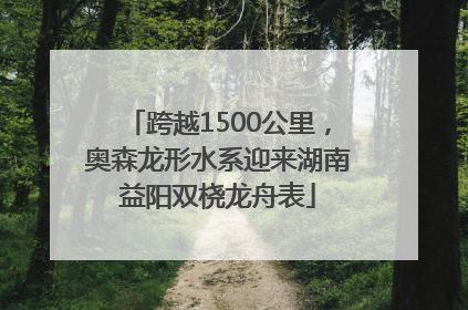 跨越1500公里，奥森龙形水系迎来湖南益阳双桡龙舟表