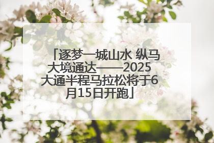 逐梦一城山水 纵马大境通达——2025大通半程马拉松将于6月15日开跑