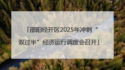 邵阳经开区2025年冲刺“双过半”经济运行调度会召开