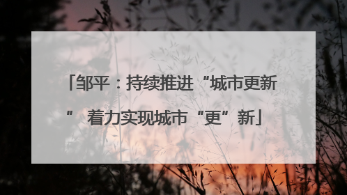 邹平：持续推进“城市更新” 着力实现城市“更”新