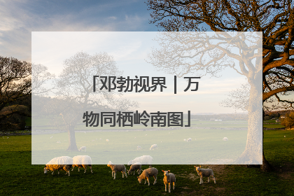 邓勃视界｜万物同栖岭南图