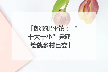 郎溪建平镇：“十大十小”党建 绘就乡村巨变
