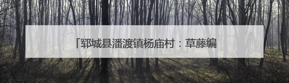 郓城县潘渡镇杨庙村：草藤编织“编”出乡村振兴新图景