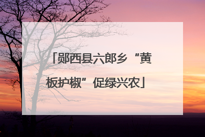郧西县六郎乡“黄板护椒”促绿兴农