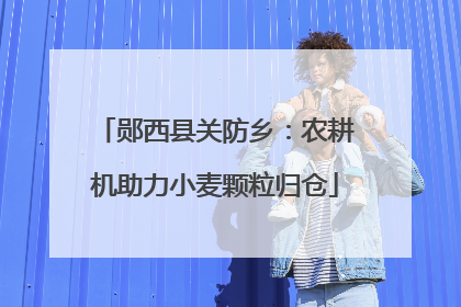 郧西县关防乡：农耕机助力小麦颗粒归仓