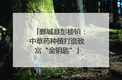鄄城县彭楼镇：中草药种植打造致富“金钥匙”