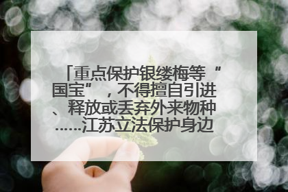 重点保护银缕梅等“国宝”，不得擅自引进、释放或丢弃外来物种……江苏立法保护身边的生物“朋友圈”