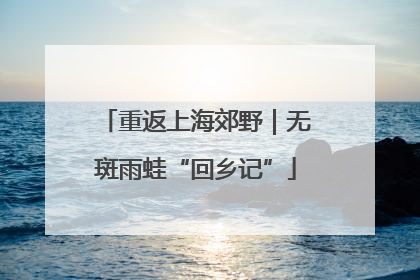 重返上海郊野｜无斑雨蛙“回乡记”