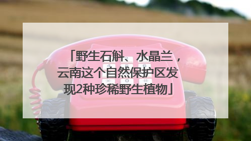 野生石斛、水晶兰，云南这个自然保护区发现2种珍稀野生植物