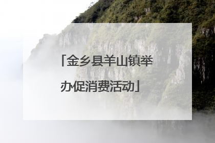 金乡县羊山镇举办促消费活动