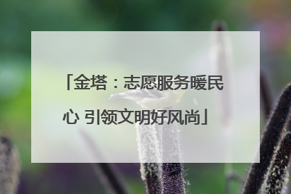 金塔：志愿服务暖民心 引领文明好风尚