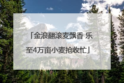 金浪翻滚麦飘香 乐至4万亩小麦抢收忙