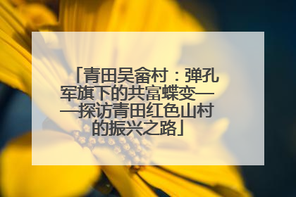 青田吴畲村：弹孔军旗下的共富蝶变——探访青田红色山村的振兴之路