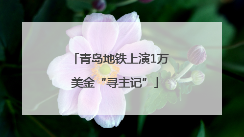 青岛地铁上演1万美金“寻主记”