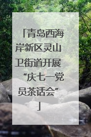 青岛西海岸新区灵山卫街道开展“庆七一党员茶话会”