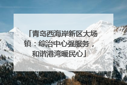 青岛西海岸新区大场镇：综治中心强服务，和谐港湾暖民心