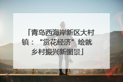 青岛西海岸新区大村镇：“赏花经济”绘就乡村振兴新图景