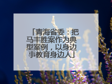 青海省委：把马丰胜案作为典型案例，以身边事教育身边人