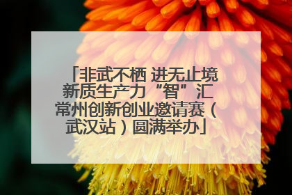 非武不栖 进无止境 新质生产力“智”汇常州创新创业邀请赛（武汉站）圆满举办