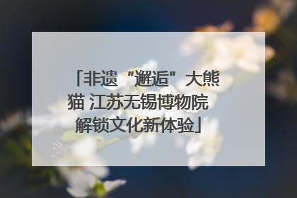 非遗“邂逅”大熊猫 江苏无锡博物院解锁文化新体验