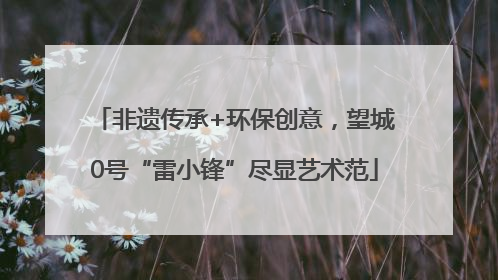 非遗传承+环保创意，望城0号“雷小锋”尽显艺术范