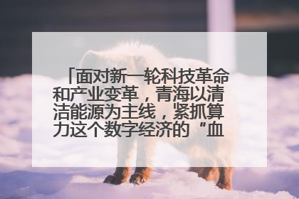 面对新一轮科技革命和产业变革，青海以清洁能源为主线，紧抓算力这个数字经济的“血液”、科技主权的“筹码”、产业升级的“杠杆”、绿色转型的“支点”，勇于撬动国家“双碳”战略、“东数西算”工程重大发展新机遇