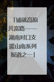 铺就高原共富路——湖南对口支援山南系列报道之一