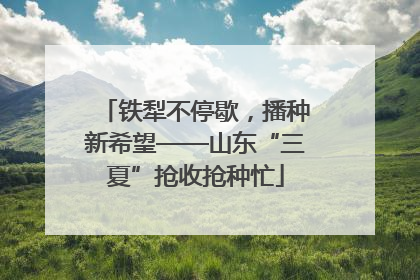 铁犁不停歇，播种新希望——山东“三夏”抢收抢种忙
