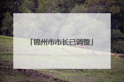 锦州市市长已调整
