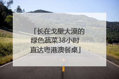长在戈壁大漠的绿色蔬菜38小时直达粤港澳餐桌