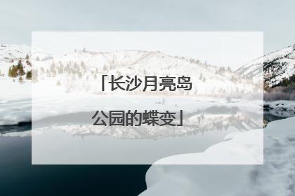 长沙月亮岛公园的蝶变
