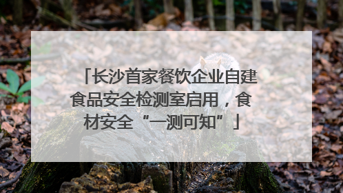 长沙首家餐饮企业自建食品安全检测室启用，食材安全“一测可知”