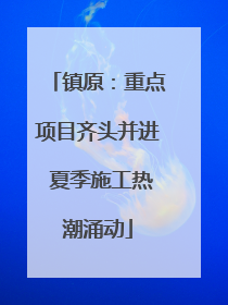 镇原：重点项目齐头并进 夏季施工热潮涌动