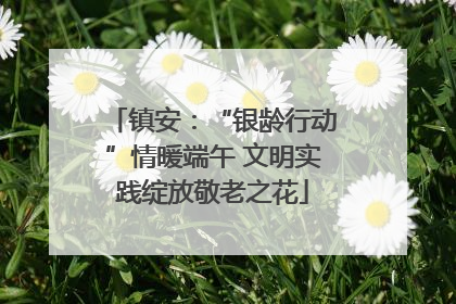 镇安：“银龄行动”情暖端午 文明实践绽放敬老之花