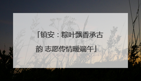 镇安：粽叶飘香承古韵 志愿传情暖端午