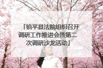 镇平县法院组织召开调研工作推进会暨第二次调研沙龙活动