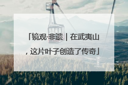 镜观·非遗｜在武夷山，这片叶子创造了传奇