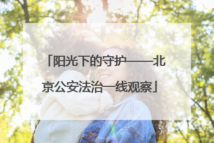阳光下的守护——北京公安法治一线观察